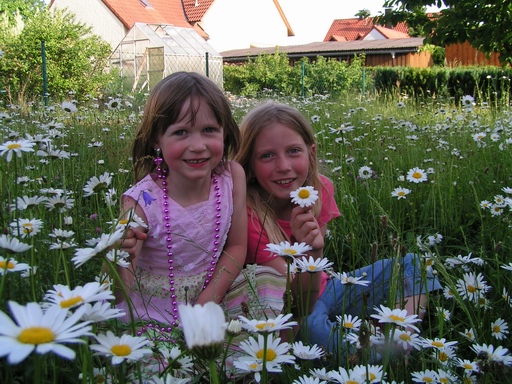 Natascha und Annika in unserer Blumenwiese am 30.05.2008